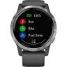 Умные часы GARMIN VIVOACTIVE 4 SHADOW GRAY/SILVER WI-FI GPS 010-02174-04